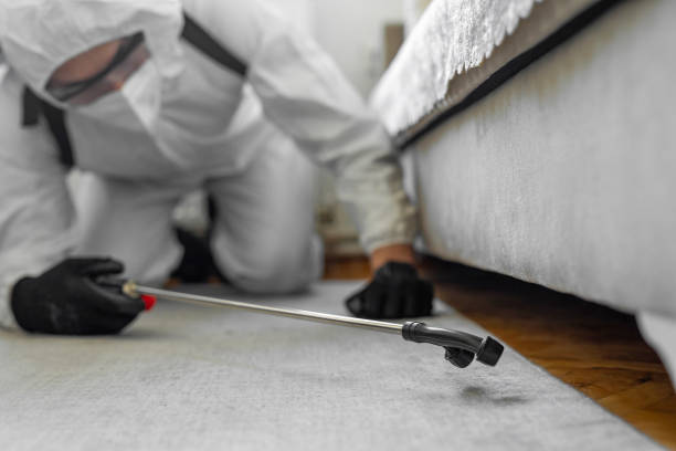 Professional Pest Control technician working in Pine Knoll Shores, NC