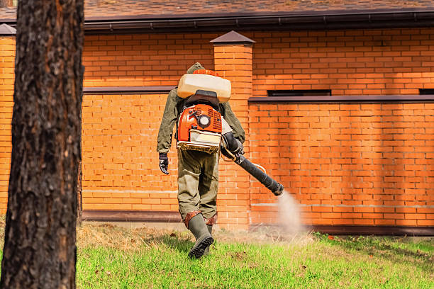 Trusted Emergency Pest Control service in Pine Knoll Shores, NC - Nex Pest Control
